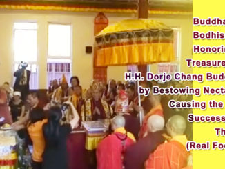 Buddhas and Bodhisattvas Honoring the Treasure Book H.H. Dorje Chang Buddha III by Bestowing Nectar and Causing the Rapid Succession of Thunder (Real Footage)