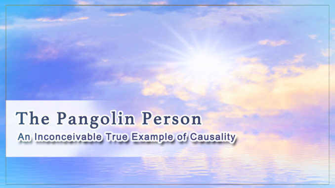 An Inconceivable True Example of Causality–The Pangolin Person