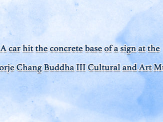 A-car-hit-the-concrete-base-of-a-sign-at-the-H.H.-Dorje-Chang-Buddha-III-Cultural-and-Art-Museum