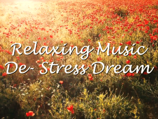 De-Stress Dreamy music/ relaxing Music/ Sleeping Music-- "De Stress Dream"