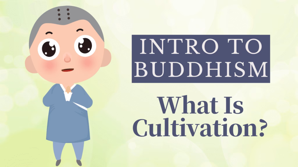Intro to Buddhism- What is Cultivation