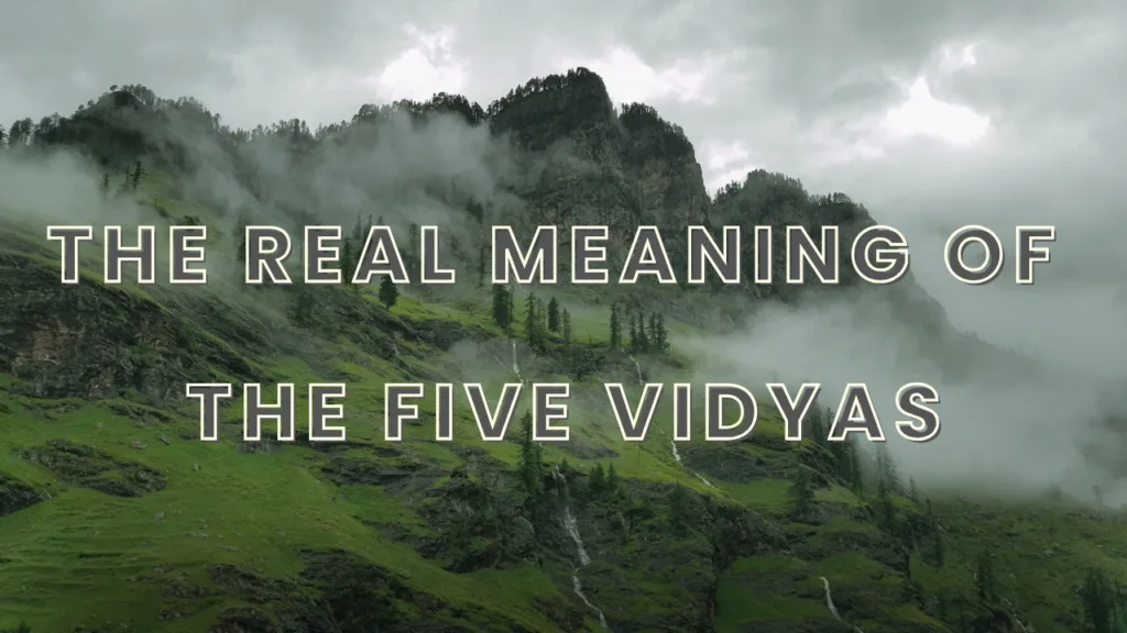 The Real Meaning of the Five Vidyas