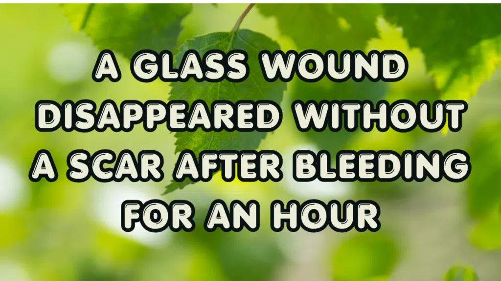 A-Glass-Wound-Disappeared-Without-a-Scar-After-Bleeding-for-an-Hour