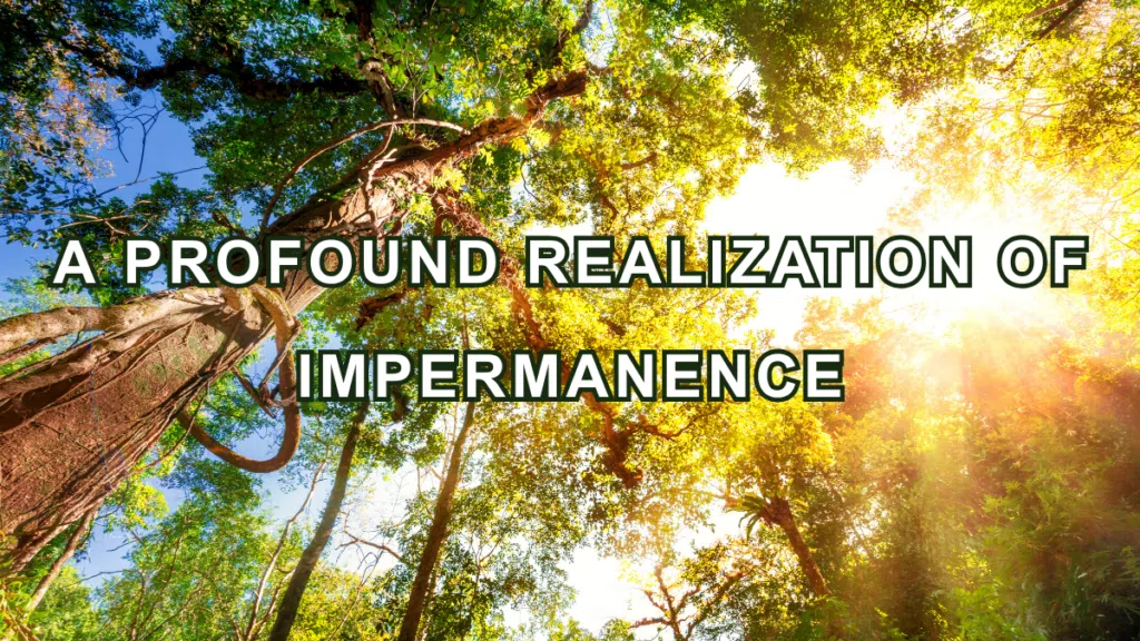 A Profound Realization of Impermanence