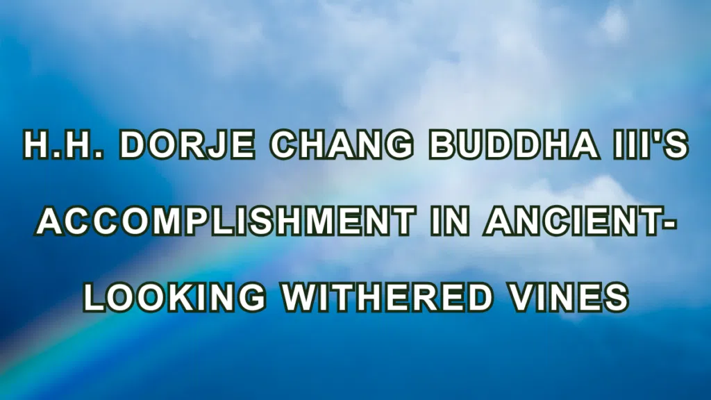 H.H. Dorje Chang Buddha III's Accomplishment in Ancient-Looking Withered Vines